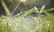 Spring season starts with good weather and good business